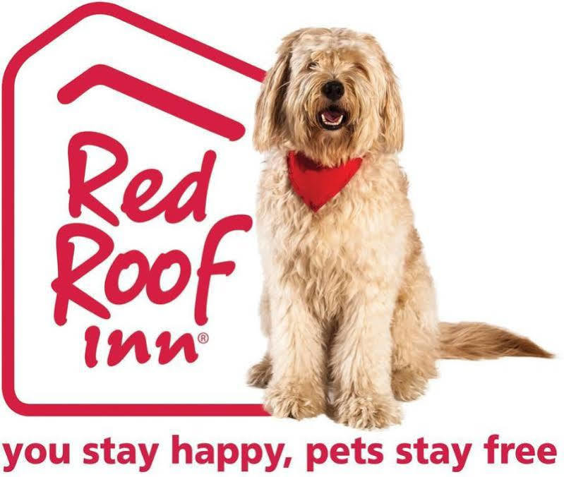Red Roof Inn Akron Ngoại thất bức ảnh
